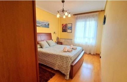 Garnacha Tinta VT-LR-2179 - Photo 18