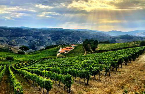 Quinta dos Espinheiros - Foto 117