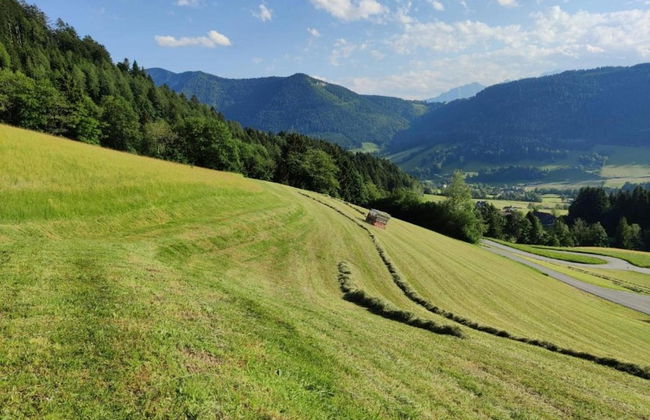 Scenic Apartment in Krispl Salzburg With Swimming Pool - Foto 77