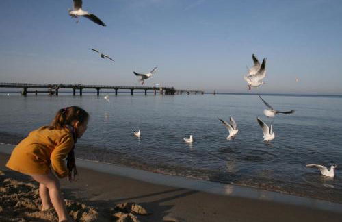 Villa Minna mit großem Balkon - Foto 8