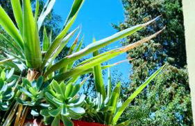 Casale Vittoria Atri - Foto 24