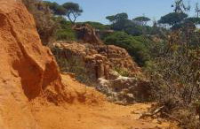 Jeannie's Oura Estrela - Foto 56