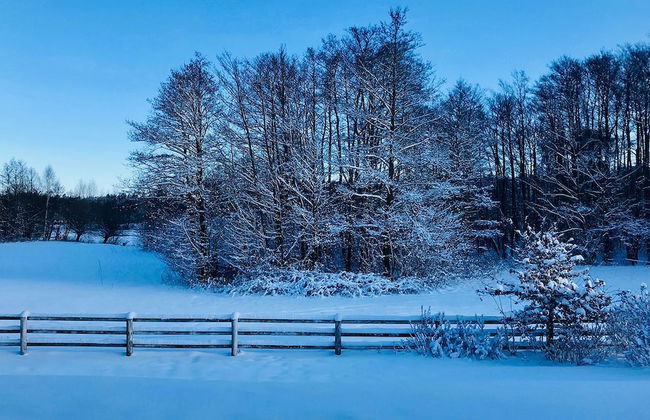 funckyho.me - Foto 4