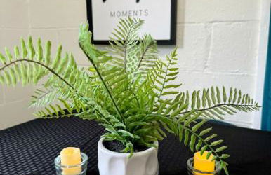 3 Min Walk to Starbucks. Pet Yes - Photo 9