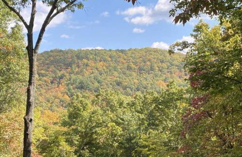 Montreat Round House - mountain views, renovated - Foto 18