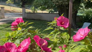 Les Gites De La Gassende - Foto 5, Garden