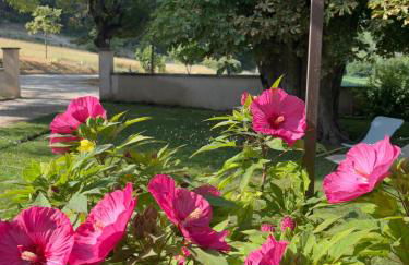 Les Gites De La Gassende - Foto 5