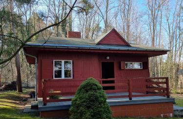 Boszkowski Azyl - Foto 7