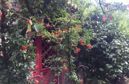 Cirasellaetna - Foto 55