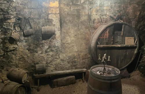 La Fleurine in Mostuejouls, Gorges du Tarn - Photo 16