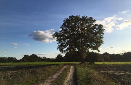 Schöner Winkel - Foto 33
