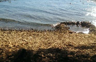 Apartments with garden - Foto 40