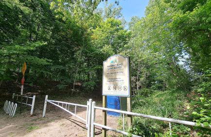 Harbert's Gem - Foto 6