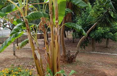 LA CASA DEL NOCE - Foto 22