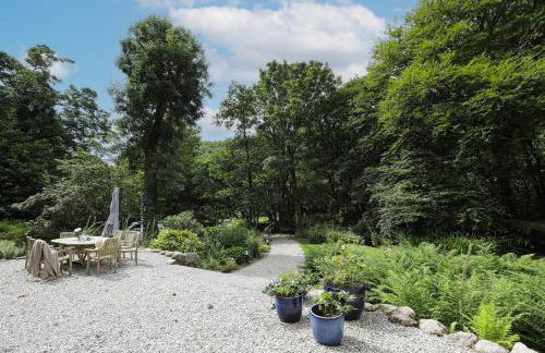 Dippers woodland setting at the Luxulyan Valley - Foto 4