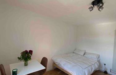 An Oasis in the heart of Hackney - Foto 12