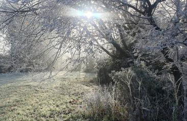 The Granary Stradbroke - Foto 37