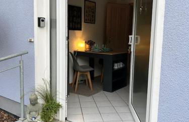 Rheinauszeit - Foto 4