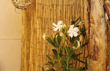 Salamanca Rentals - Apartamento con terraza a 1 minuto de la Plaza Mayor - Foto 39