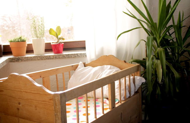 Ferienhaus Mauth - Foto 40