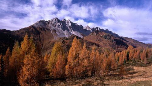 Attic Apartment In Sauris Di Sopra Dolomites - Foto 2