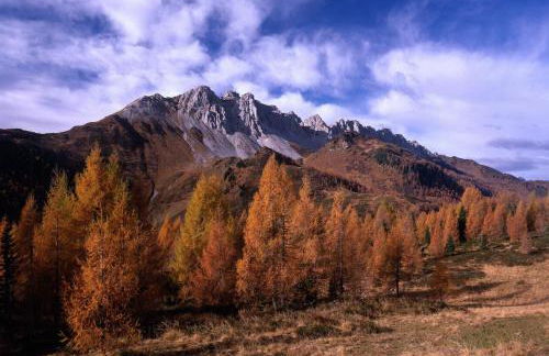 Attic Apartment In Sauris Di Sopra Dolomites - Foto 2