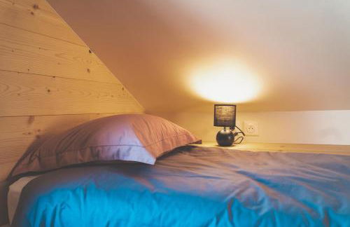 Ski et Détente Les Orres 1650 Animaux OK - Photo 7