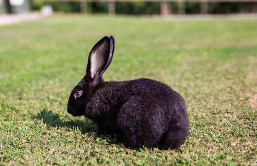 Agriturismo Ca' Vecia - Foto 61