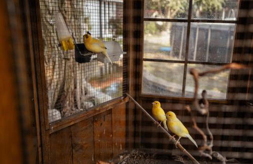 Münsterland Oase - Foto 31