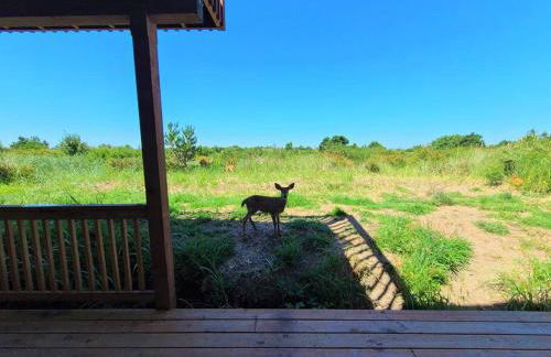 The Beachwalk - Foto 12