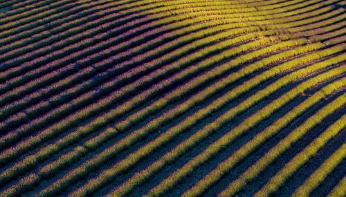 Gîte Mas de Boulègue - Foto 5