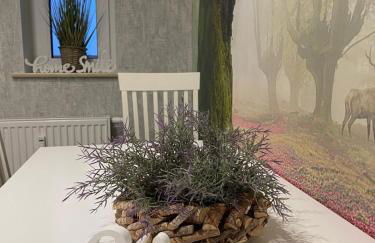 Ferienwohnungen in Erfurt - Foto 49