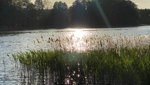 YACHT CLUB WEJSUNY - Foto 5