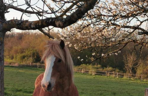 Les gîtes de la nouvelle vie - Foto 33