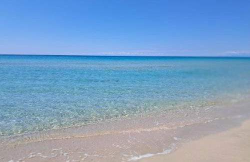 Masseria Macchiarola - Foto 53