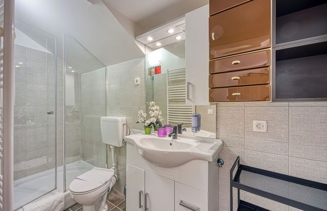 Spa Apartment Tinca - Foto 9