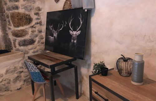 MAISON CARAIL Névache 14 personnes - Photo 8