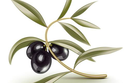 Casa Pinto Oliveira - Foto 48