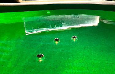 Vila Vera Seafront Apartments - Photo 57