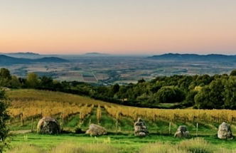 Valdonica Winery & Vineyard Residence - Foto 34