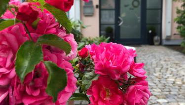 Faupel Ferienwohnung - Foto 2