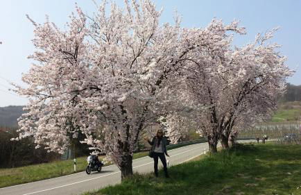 Ferienwohnung Berger Kurparkresidenz - Foto 38
