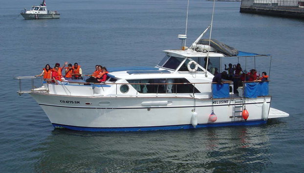 Palomino Islands Boat Trip - Foto 2