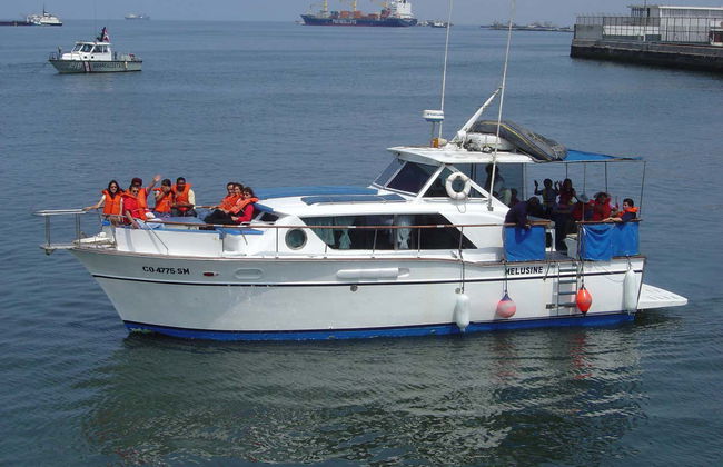 Palomino Islands Boat Trip - Foto 2