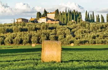 Tenuta di Poggio Cavallo - Foto 28