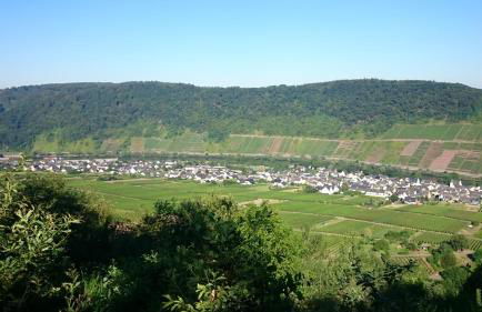 Ferienwohnungen Am Bruttiger Moselsteig - Foto 72