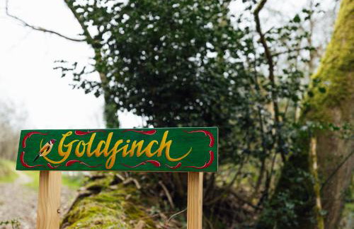 Goldfinch - Photo 19