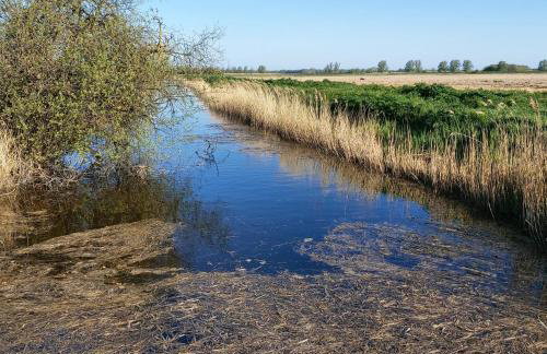 The Old Farmhouse at Roughs Farm Retreats - Foto 41