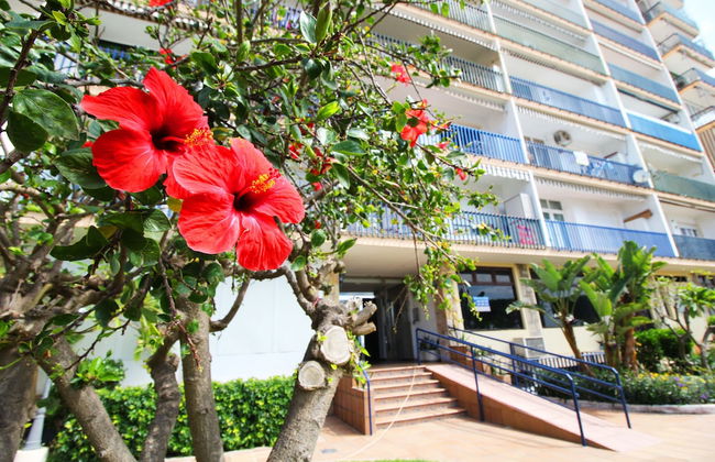 Crucero - Apartamento en 1ª línea de playa - Foto 9