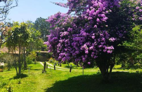 Chácara Áquila - Foto 30